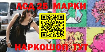 ГАЛЛЮЦИНОГЕННЫЕ ГРИБЫ Донской