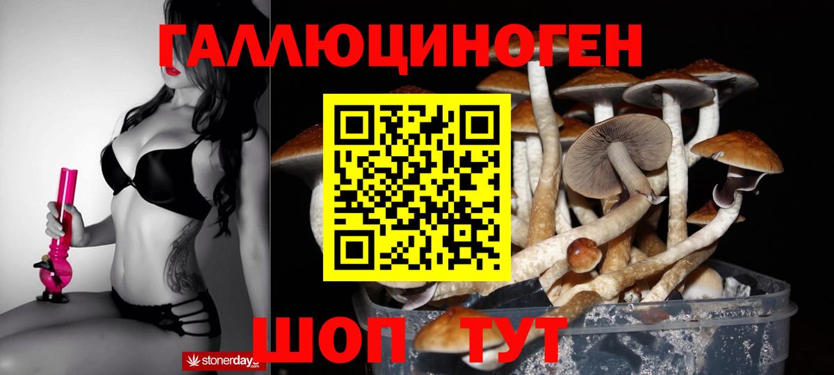 Майский  Псилоцибиновые грибы MAGIC MUSHROOMS  Вход с VPN 