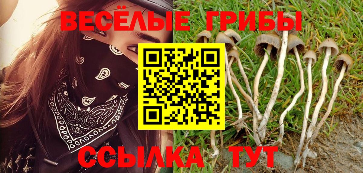 Галлюциногенные грибы Magic Shrooms Майский